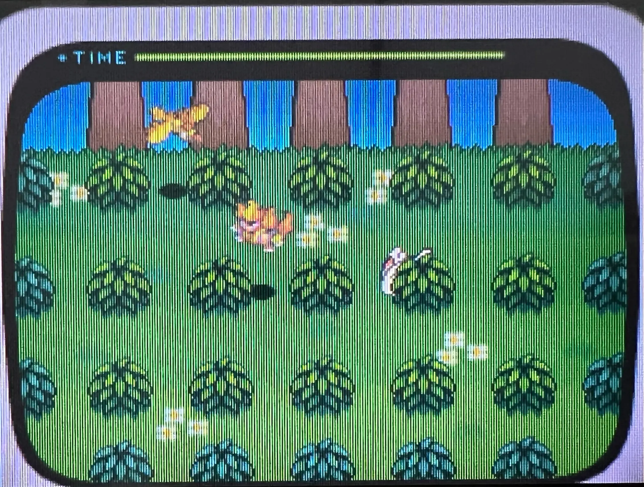 ポケモン過去作からポケモンHOMEへ連れてくる方法(ハート