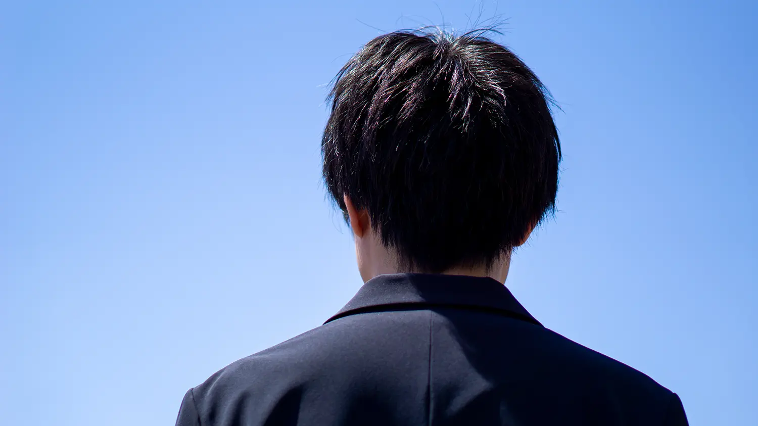 後ろから見るとほとんど目につかない